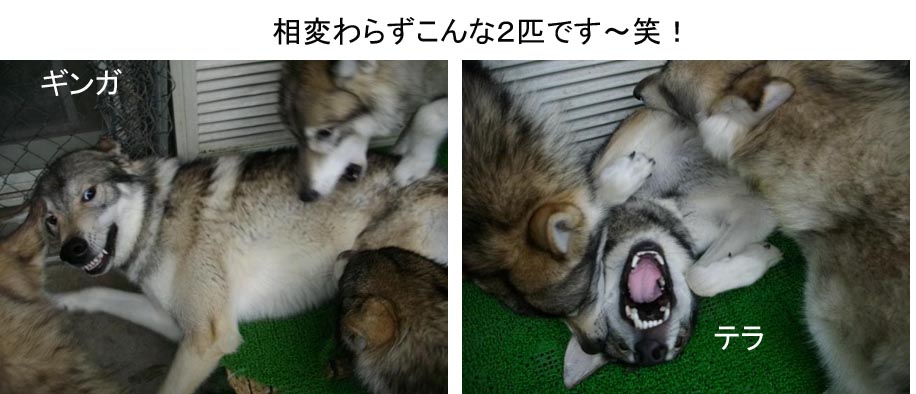 [3_6_1.jpg]