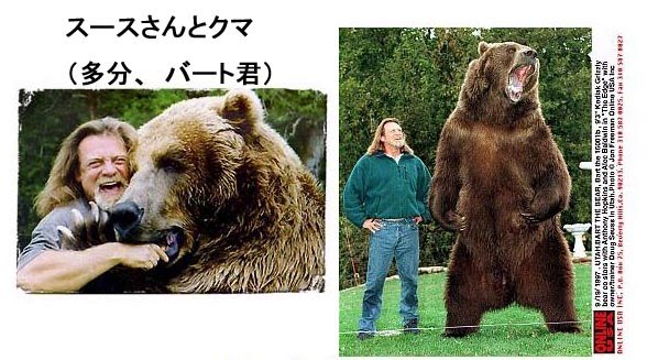 [bear3.jpg]