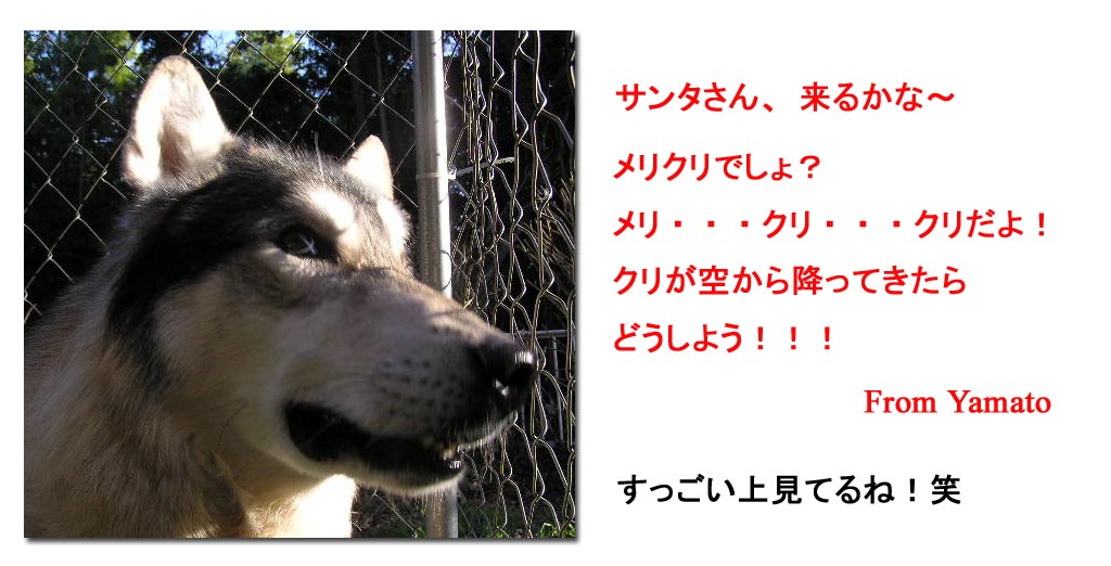 [1224.jpg]