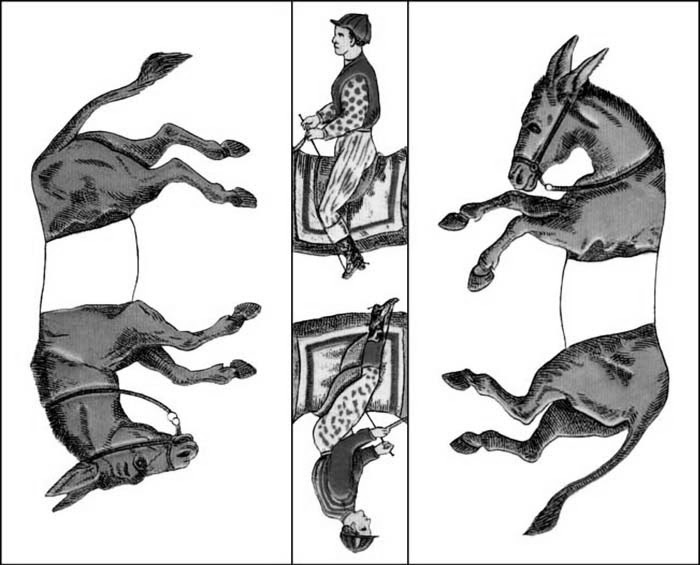 Na Folha: o enigma sobre o passeio do cavalo no tabuleiro
