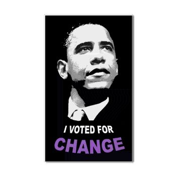 [voted+for+change.jpg]