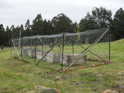 Huon View: Possum-proof vegetable garden