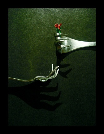 [Filipa+Andrade+flor+flower.jpg]