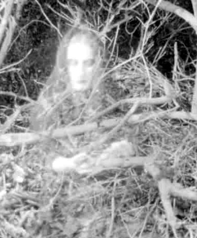 [fantasma.jpg]