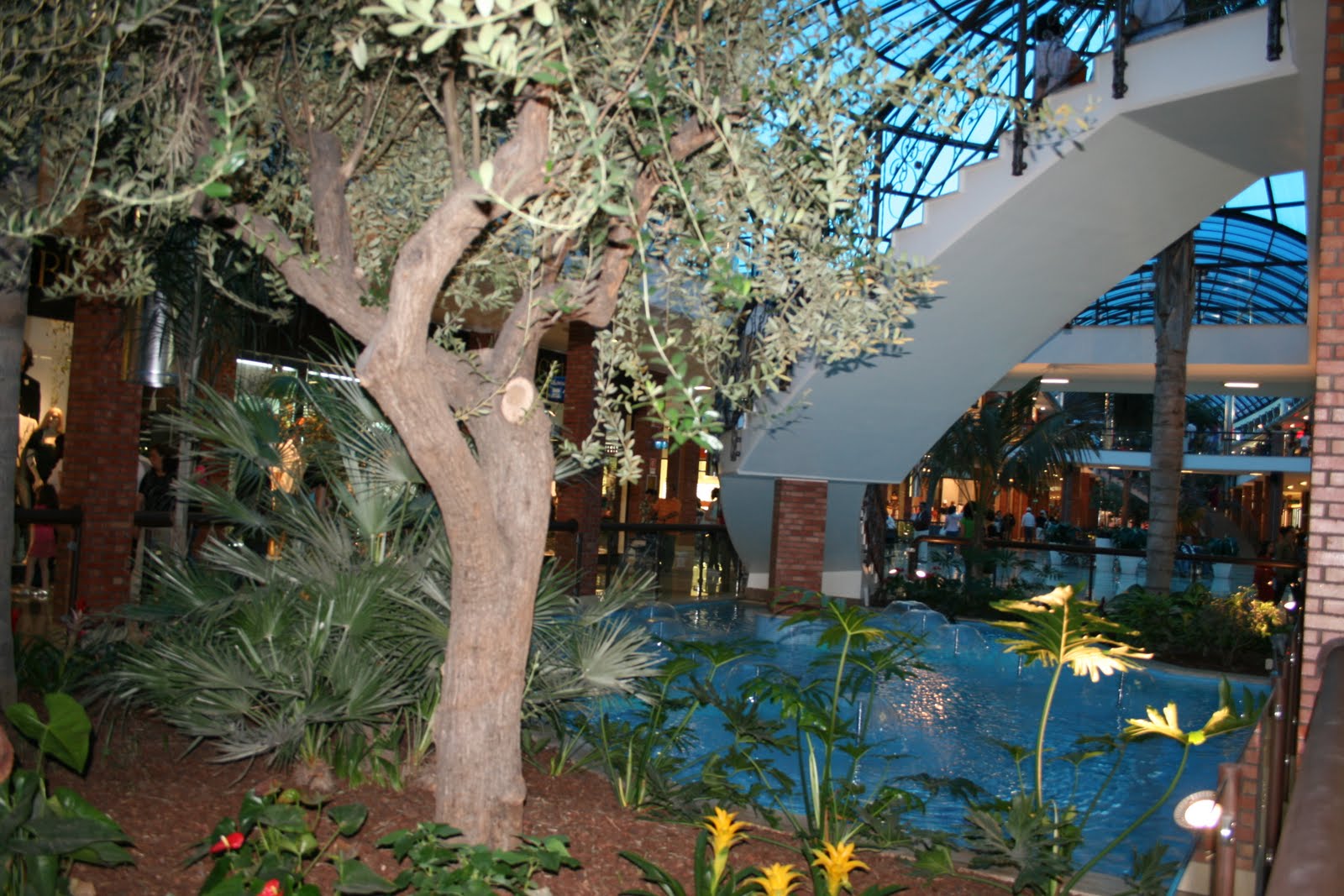 venusintheworld Parco commerciale 