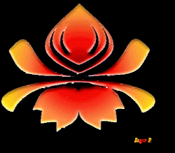 freehand designs rangoli drawings drawing