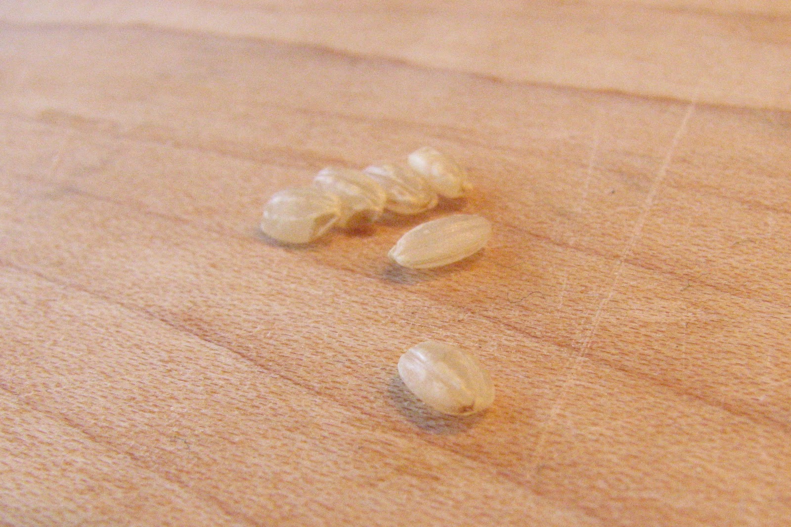 THE VOLUPTUOUS VEGETARIAN Short Grain Brown Rice How I cook short