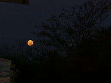 luna roja de Sandra