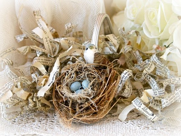 Bird's Nest & Spring