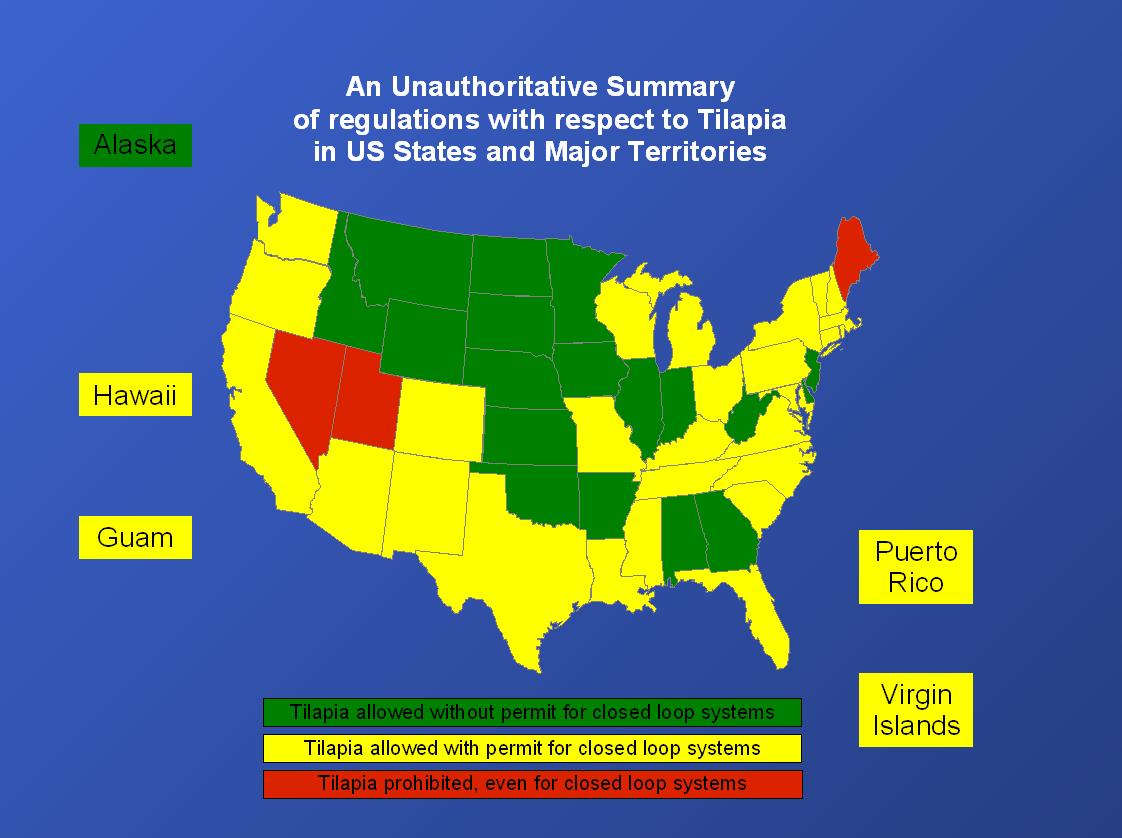 3x5 Aquaponics Tilapia Legal in Your Town?