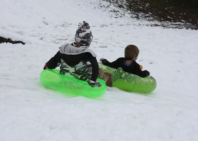Brothers Sledding at Grapevine Springs Park