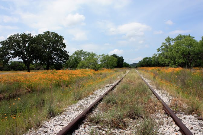 H  i  l  l     C  o  u  n  t  r  y