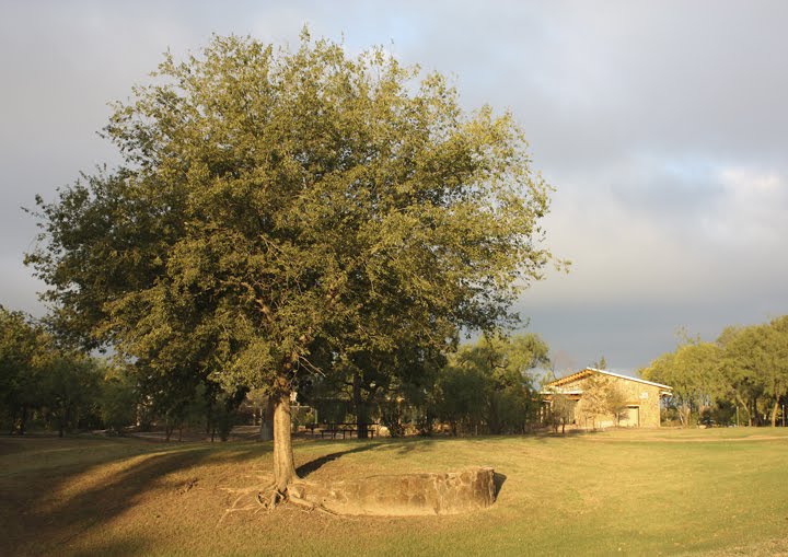Beautiful Morning Light at Grapevine Springs Park