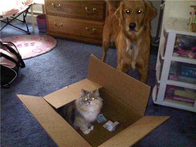 [miley+and+box+2.jpg]