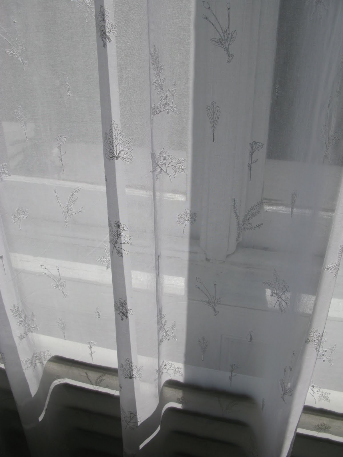 Longitudes News Updates And Reportage From Latitudes The