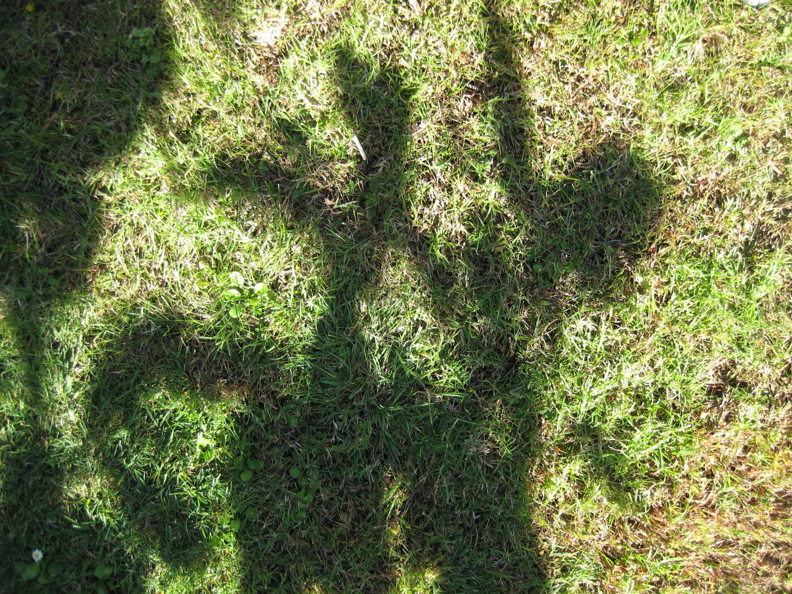 [IMG_0995.JPG]