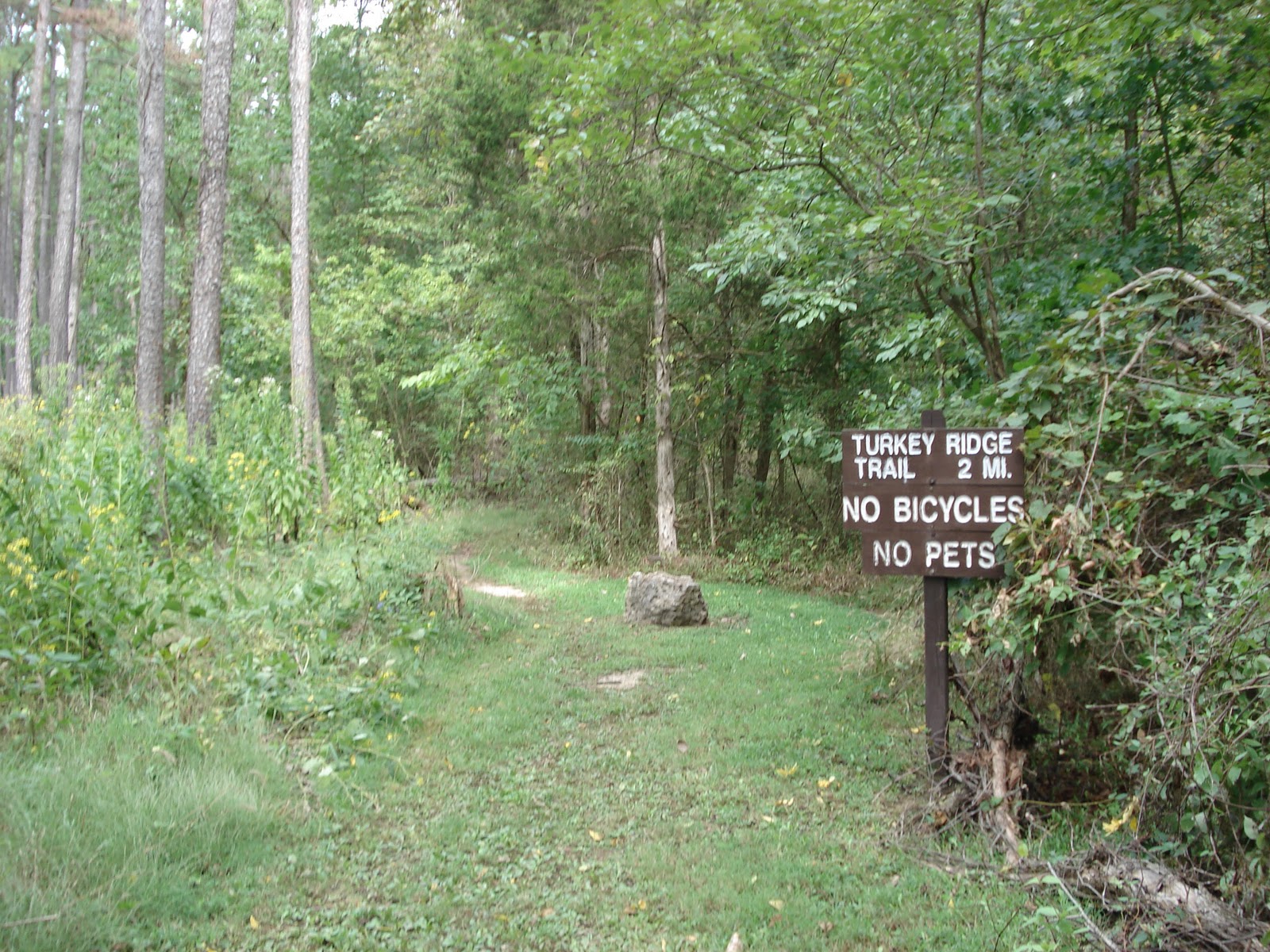 Hiking St. Louis: Rockwoods Reservation - Turkey Ridge Trail