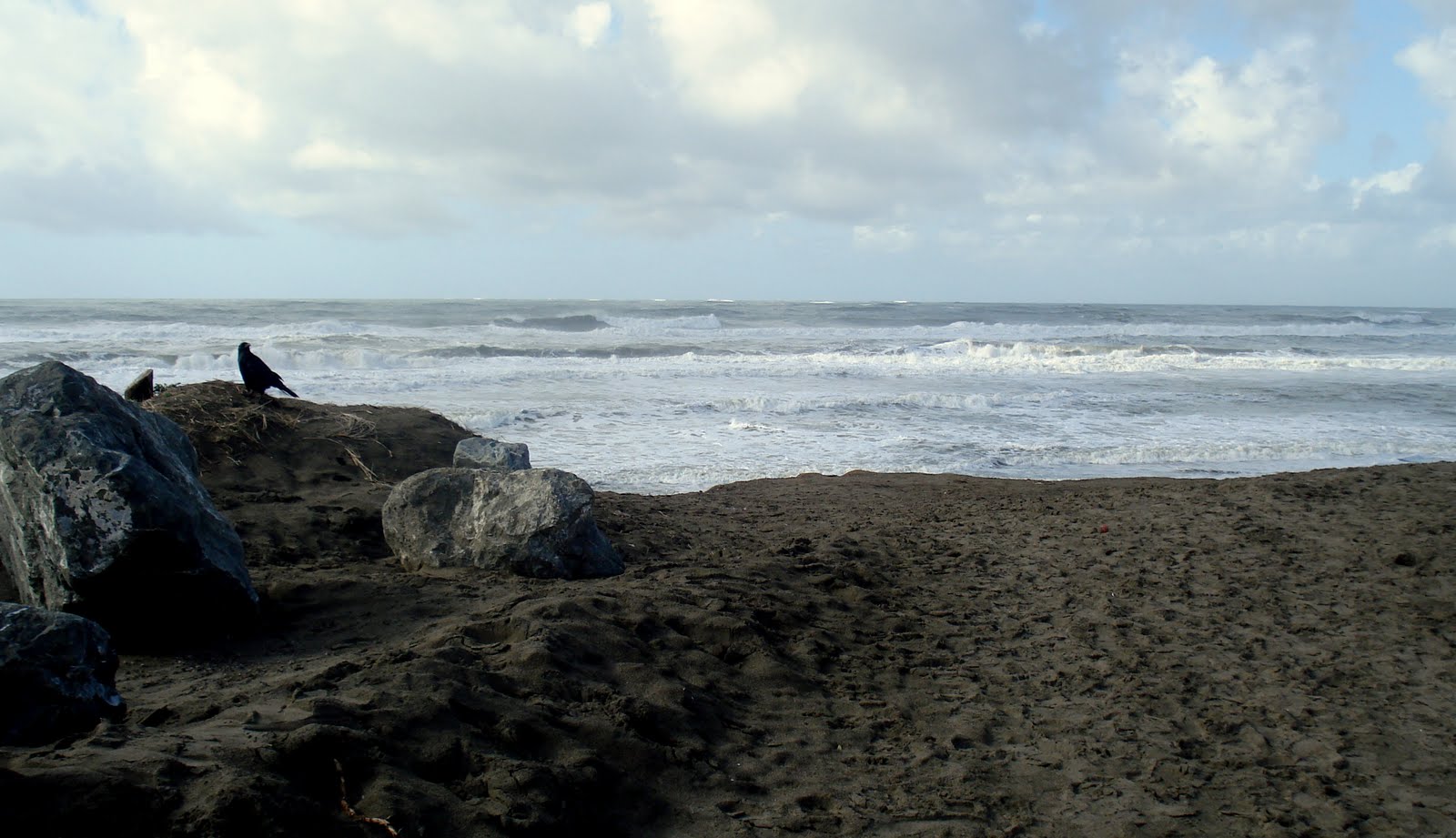 [DSC08020.JPG]