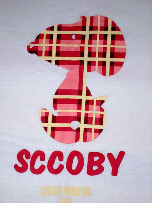 [sccoby.jpg]
