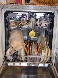 Dishwasher safe 1