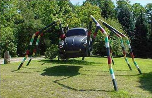 [fusca-aranha.jpg]