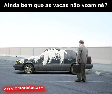 [vacas.jpg]