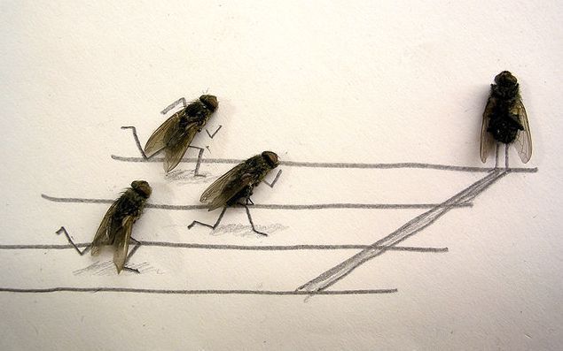 [image005.jpg]