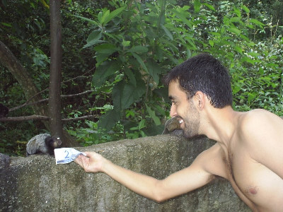[micopreto.jpg]