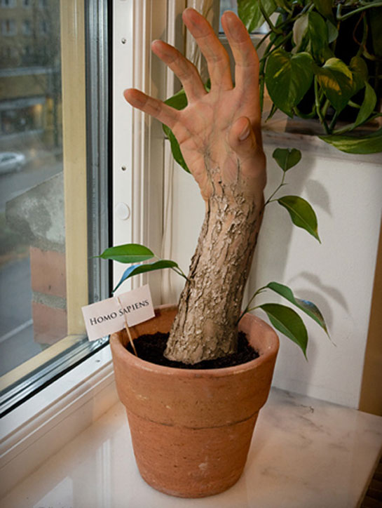 [planta.jpg]