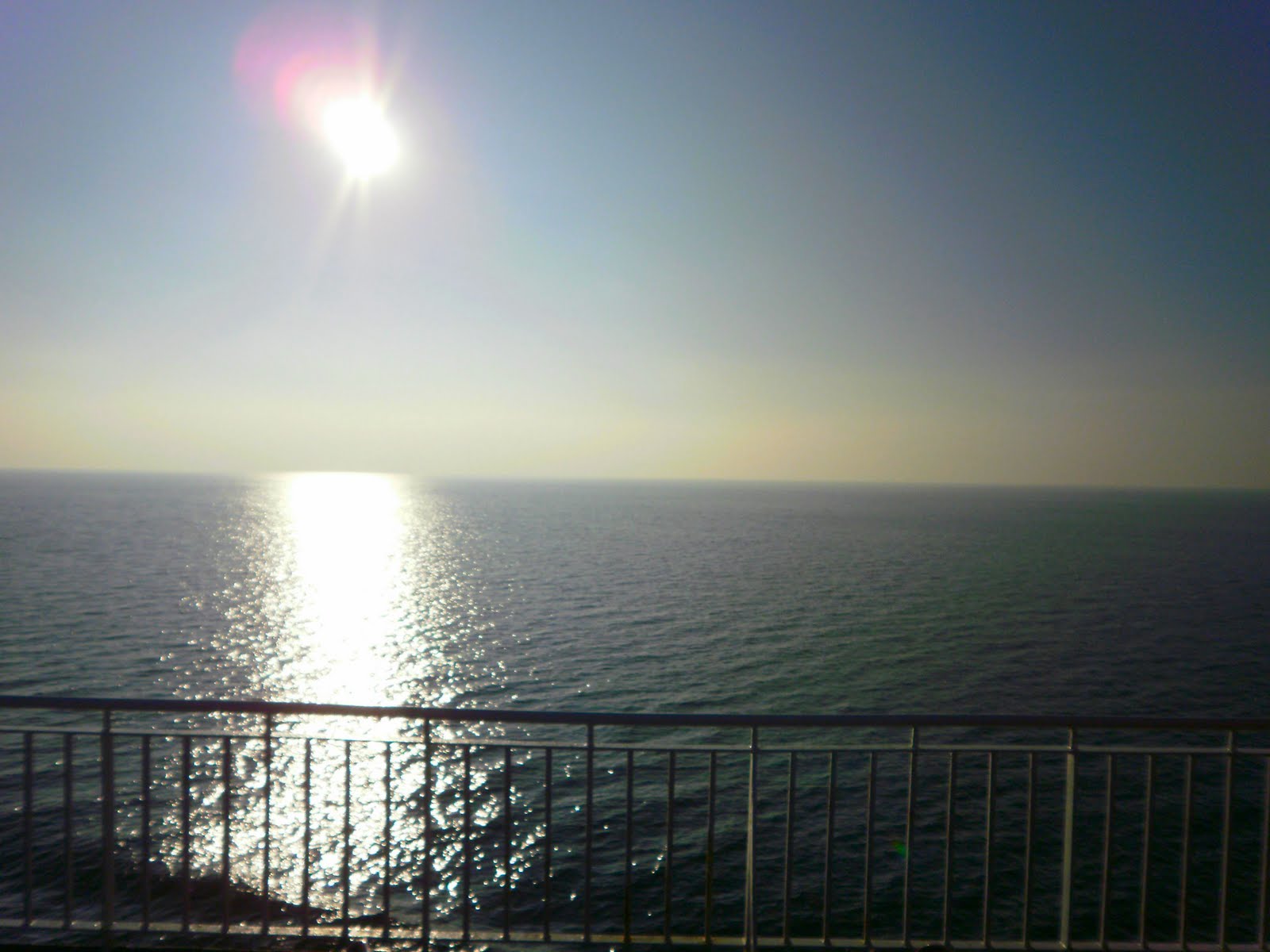 [P2200010.jpg]