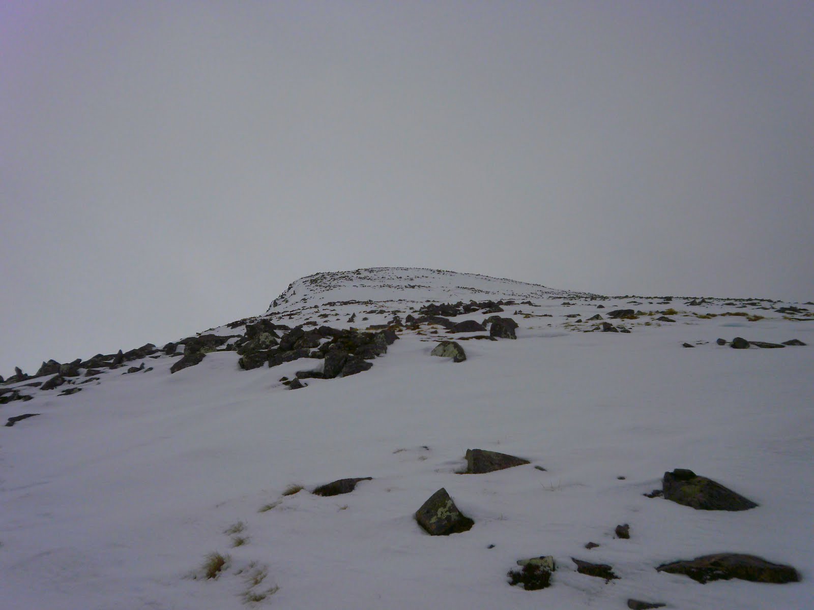 [P3100055.jpg]