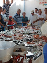 Alaçati fish auction, Turkey
