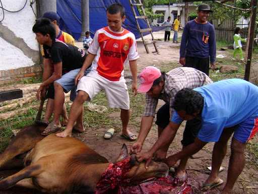 Yuk ber qurban  ~ LDII SAMPIT - Kalimantan Tengah