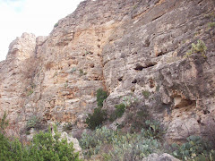 desert cliffs