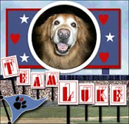 Join Team Luke!
