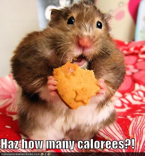 [calories.jpg]
