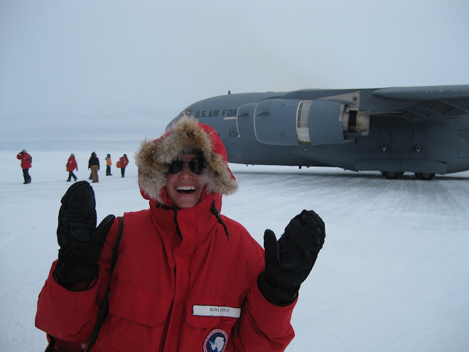 First steps in Antarctica