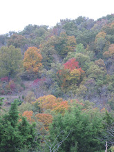 Fall Foilage in Branson,MO