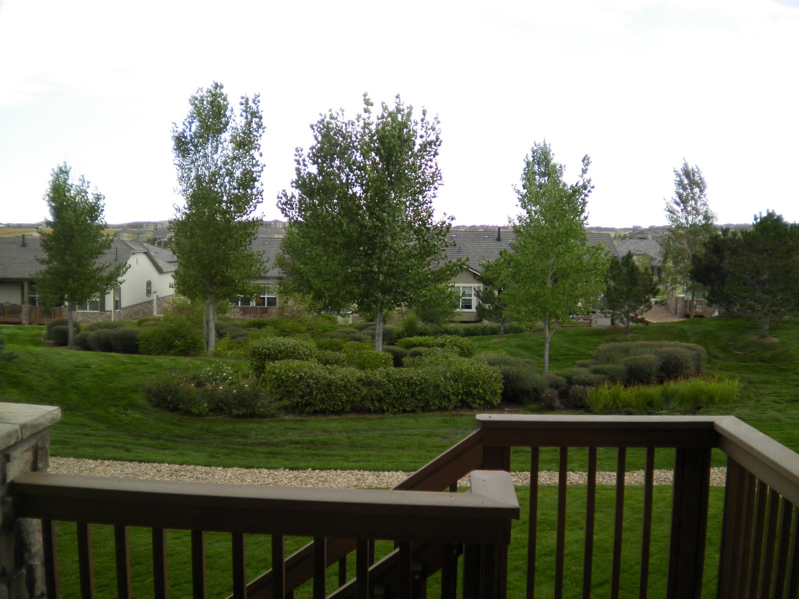 Broomfield Colorado Homes For Sale Broomfield CO Parade Of Homes