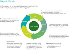 Pricing Life Cycle