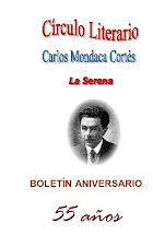 Boletín 2008