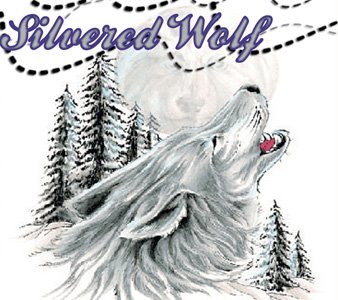 Eu nunca vivi uma história assim!