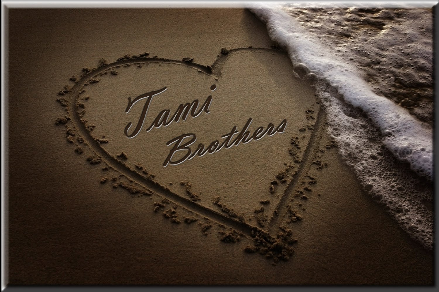 [Copy+of+Tami+Brothers+Button.JPG]