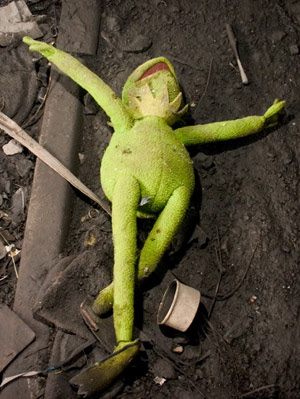 kermit-the-frog.jpg