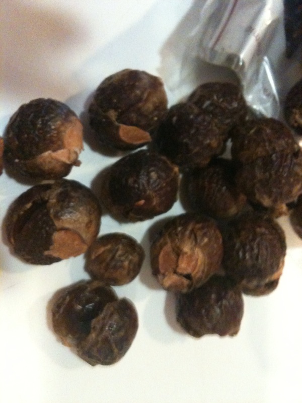 Soap Paradise Soap nuts review