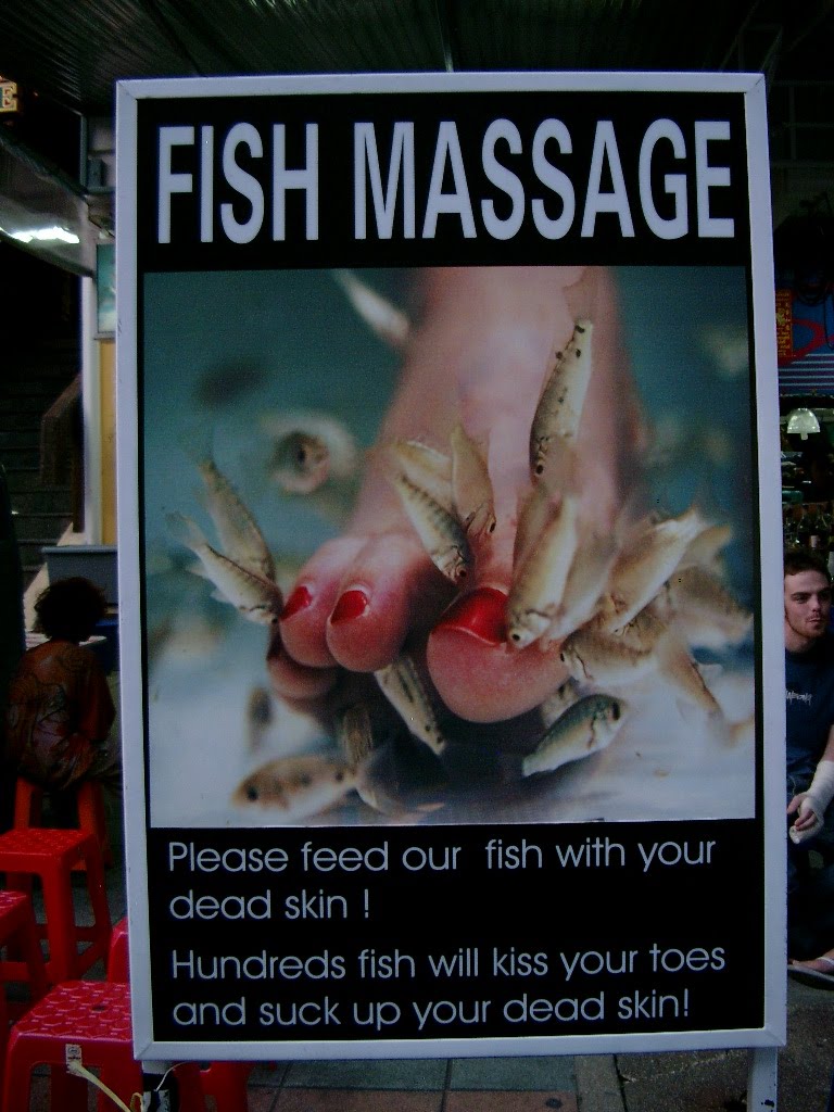 [IMGP4132.JPG]