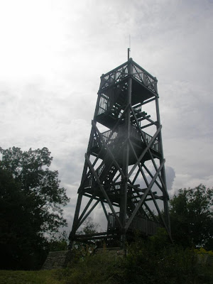 Ježník