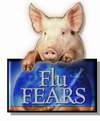 [Swine-Flu.jpg]