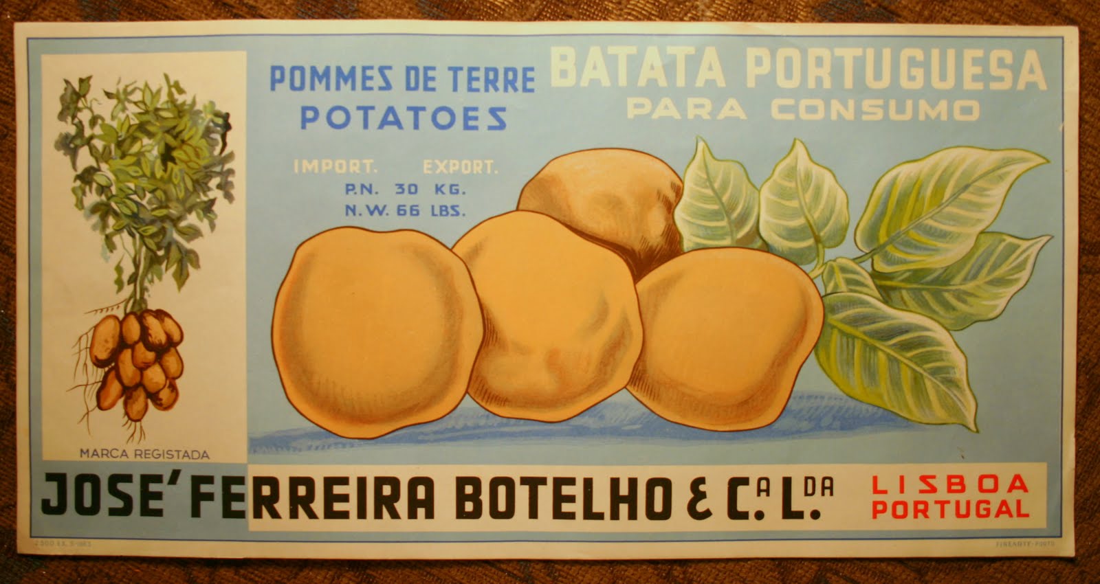 [Batata1Jan10-01.jpg+007.jpg]