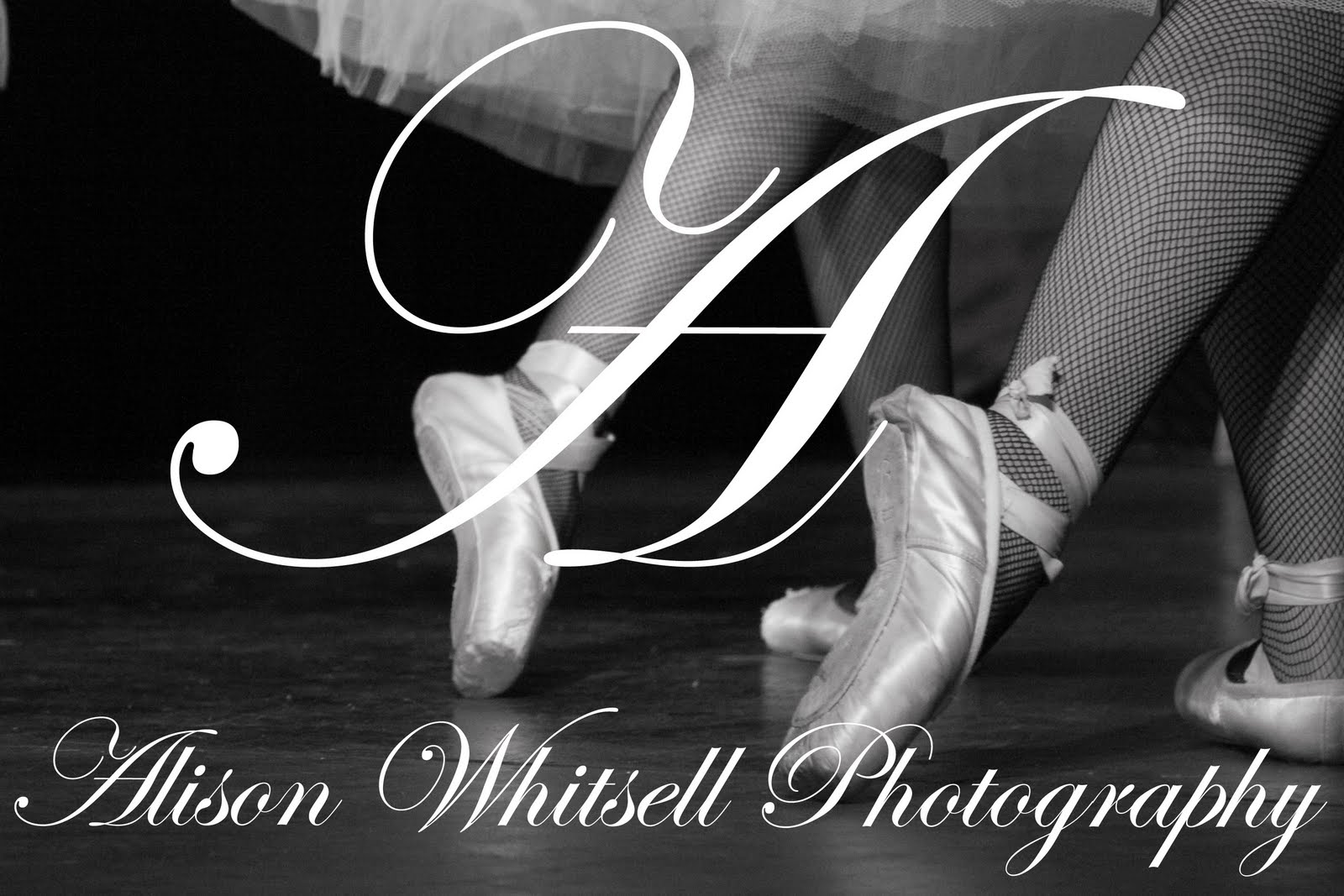 Alison Whitsell Photography